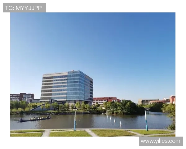 飞盘与梦想交织的旅程:杨磊的深度对话与人生启示MBA 飞盘与梦想交织的旅程:杨磊的深度对话与人生启示MBA