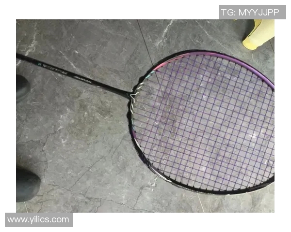 羽毛球新手必看：从零基础到高手的全面入门指南与实用技巧分享