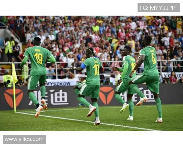 非洲杯激战埃及对阵多哥球迷期待精彩对决与历史交锋