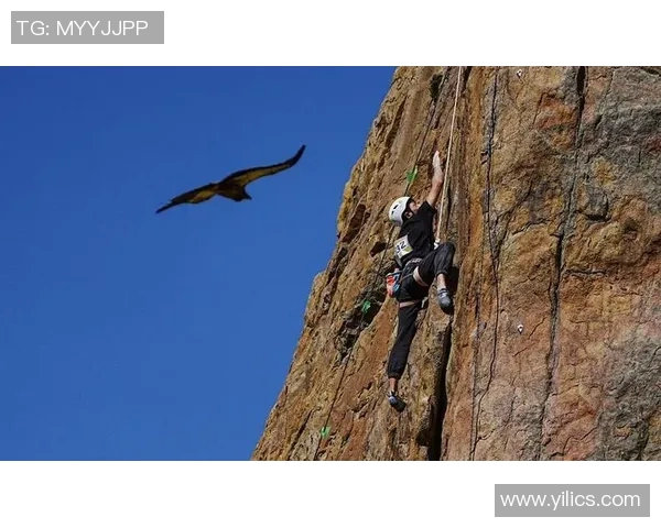 王丽专访：从初学者到攀岩高手的心路历程与成长故事