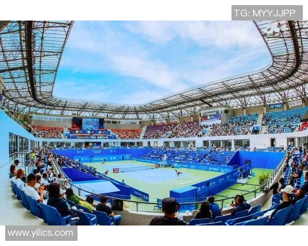 成都网球队的崛起之路：城市联赛中的奋斗与荣耀